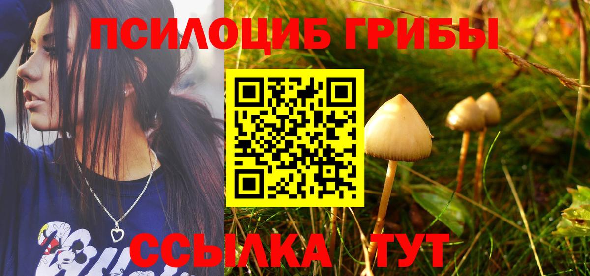 Псилоцибиновые грибы ЛСД Камышин