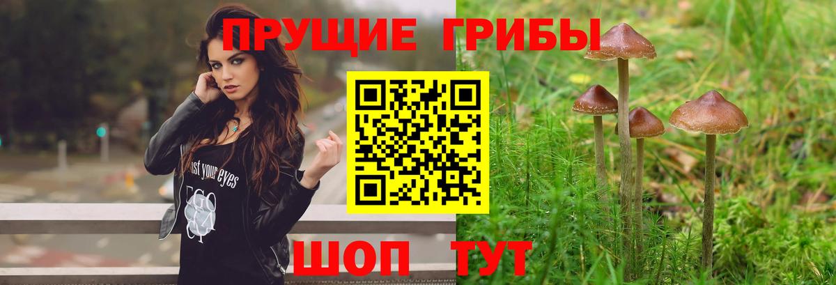 Галлюциногенные грибы ЛСД  Псилоцибиновые грибы Psilocybine cubensis  Камышин  Вход с VPN 
